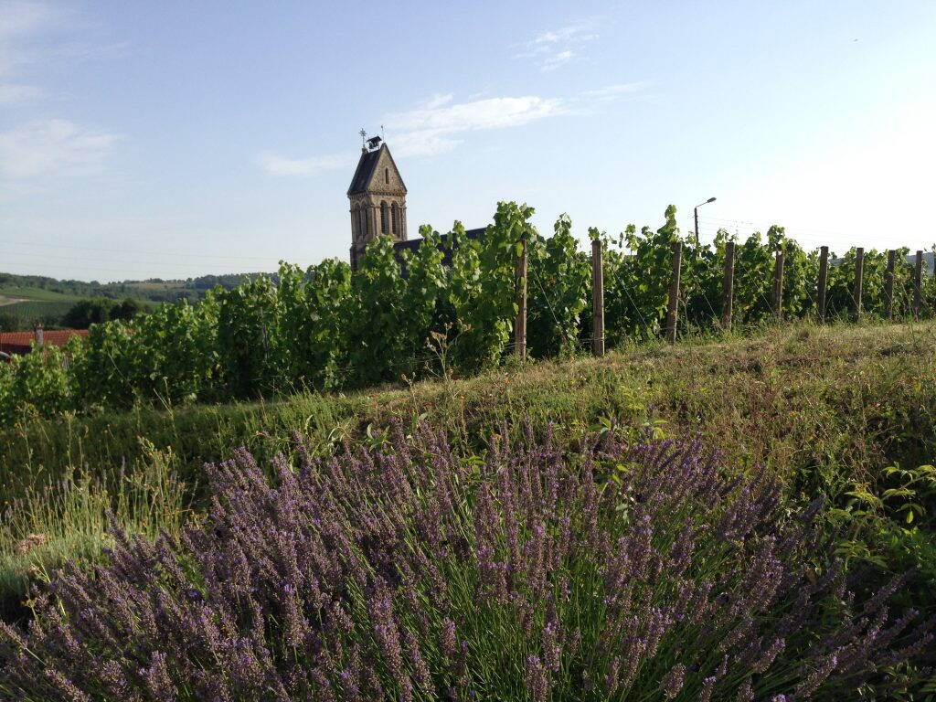 Weihnachten und Silvester Weihnachten und Silvester