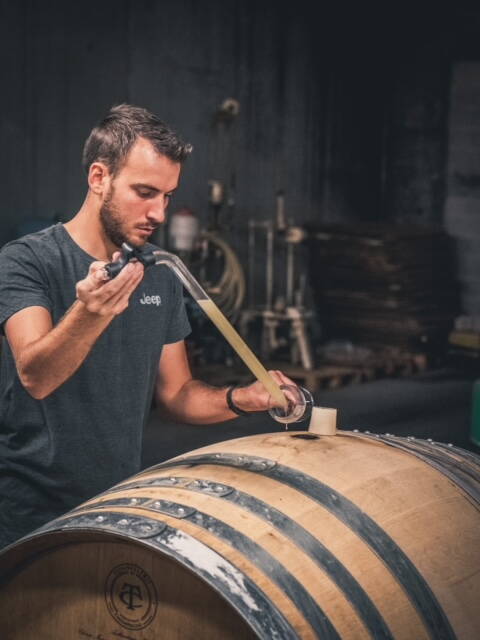 Schloss Schadau Schloss Schadau